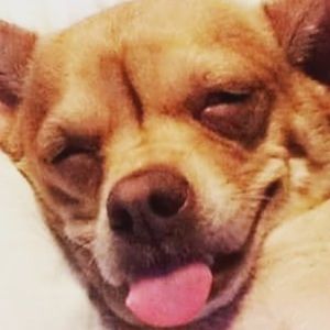 Meet your Posher, Donnie